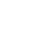 x icon